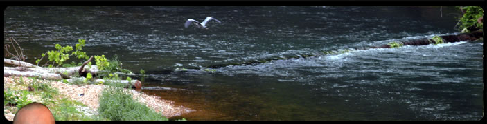 Image of a river with birds flying over a small waterfall.